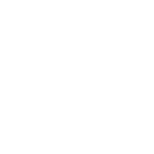 Logo White